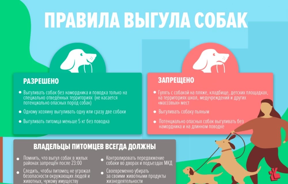 Выгул собак на детских площадках запрещён: обращение жителей улицы Владимирская