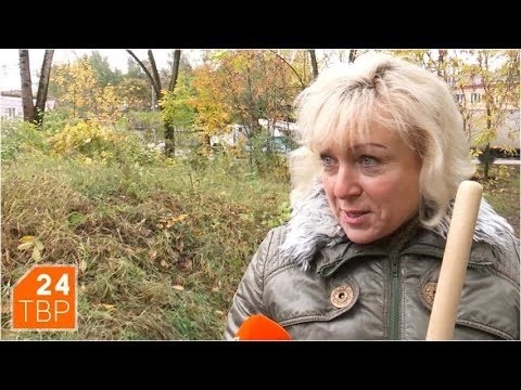 Ударили по Скобянке