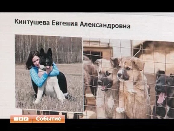 За лучший проект на премию Губернатора можно проголосовать онлайн