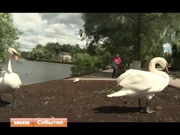 Не все родники одинаково полезны. Роспотребнадзор проверил воду в посадских источниках