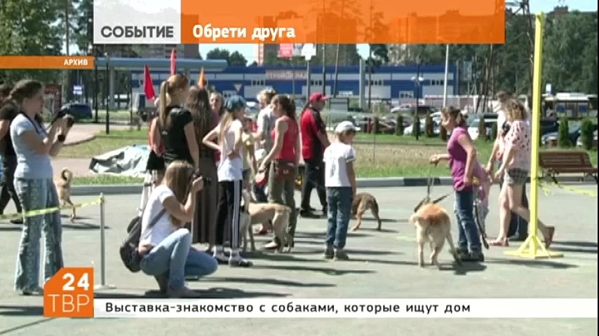 Волонтёрское движение "Потеряшки" готовит для жителей района выставку своих питомцев