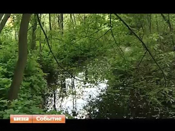 Спор из-за ручья продолжается