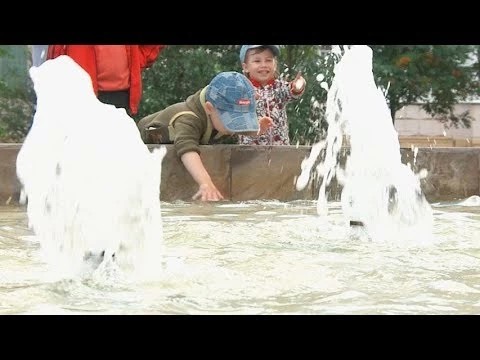 Лето – это маленькая жизнь