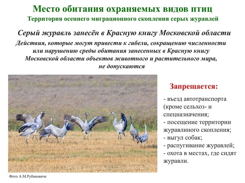 В Талдоме и Сергиево-Посадском районе появятся информационные щиты о краснокнижных видах