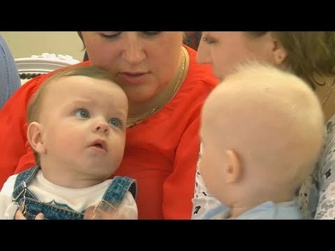 Сергиево-Посадский ЗАГС поделился статистикой за 2017 год
