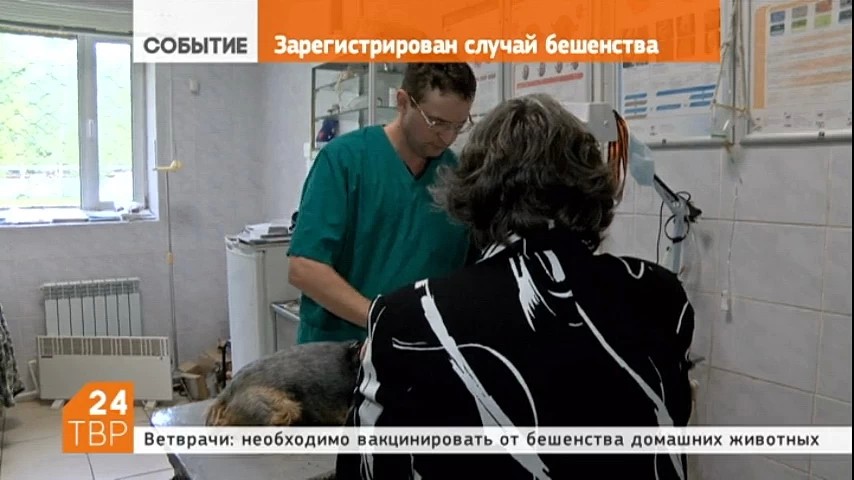 В Сергиево-Посадском районе выявлен первый случай заболевания животных бешенством