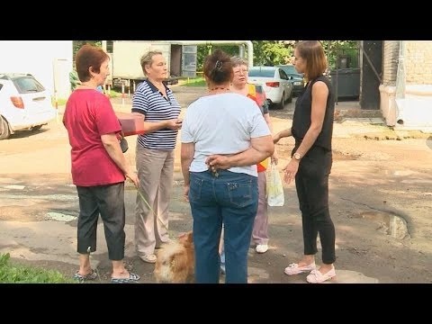 На Птицеграде дорожку мостят, где была народная тропа