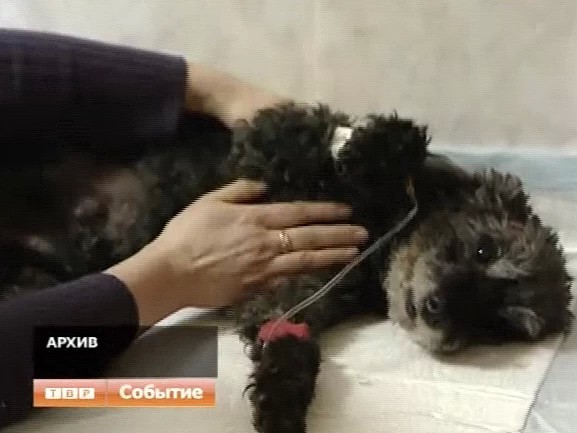 Сергиево-Посадский район в числе победителей конкурса «Наше Подмосковья»