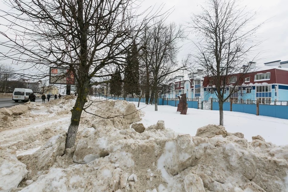 Липы засыпали пескобетонной смесью
