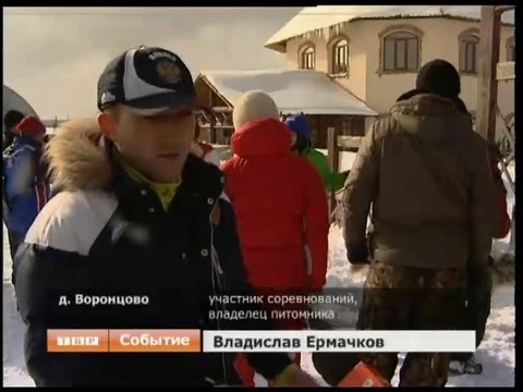 Гонки на собачьих упряжках