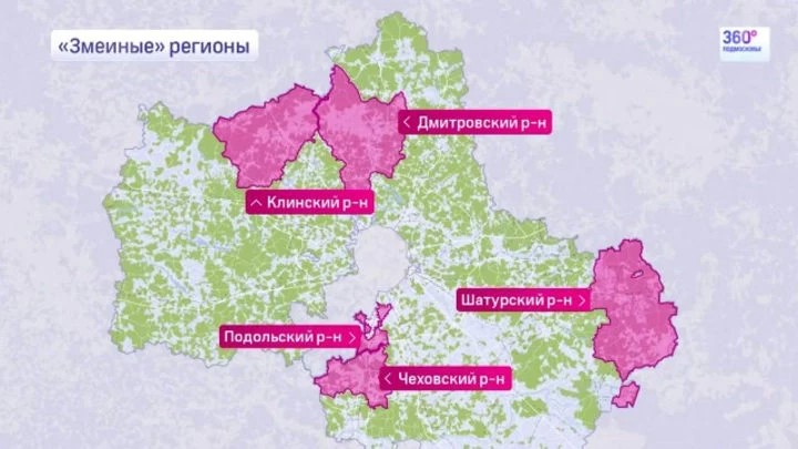Рекомендации Минздрава Подмосковья: Что делать если вас укусила змея?