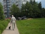 Где выгуливать собаку?!