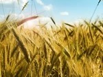 "Сердце России" объявило набор