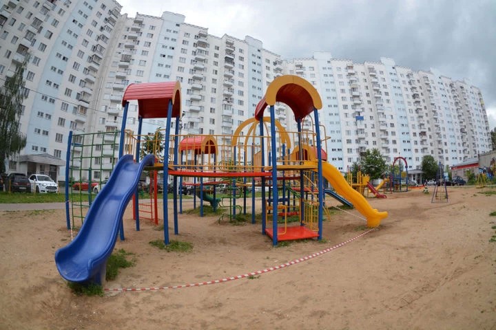 Голосуй за двор!