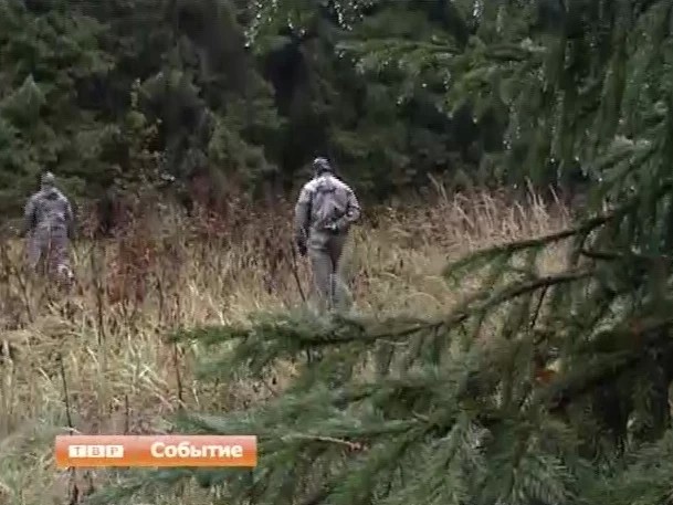С начала тёплого сезона поисково-спасательные отряды вывели из подмосковных лесов более двух десятков заблудившихся грибников