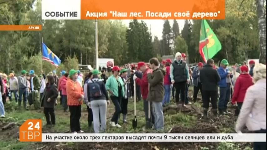 В Подмосковье состоится экологическая акция "Наш лес. Посади своё дерево"