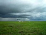 Поселения оформляют стелами