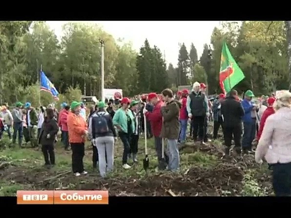 Почти пять тысяч жителей Сергиево-Посадского района приняли участие в областной акции «Наш лес. Посади свое дерево»