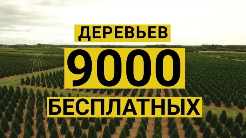 Аллеи славы: проголосуй за свой город!