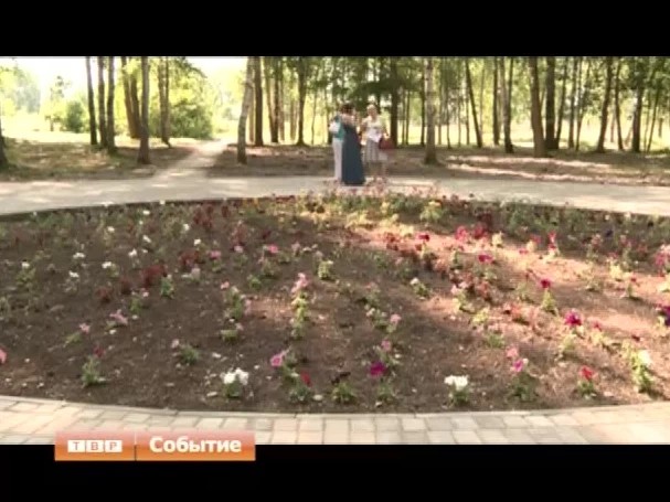 Ландшафтный дизайн вместо зарослей. В Краснозаводске обустраивают парковую зону