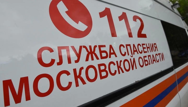 Змеи в голове