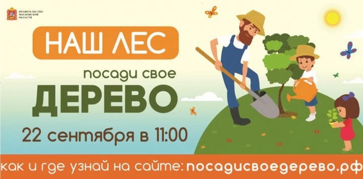 Бесплатный автобус отвезет всех желающих в лес
