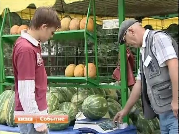 Сезон продажи бахчевых на территории Подмосковья открыт