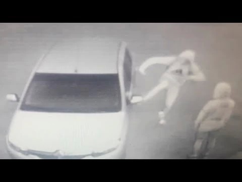 Разыскиваются вандалы в Сергиевом Посаде