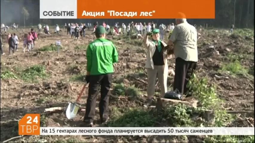 В Подмосковье 17 сентября на площади более 300 га проведут лесовосстановление в ходе акции "Наш лес. Посади свое дерево”