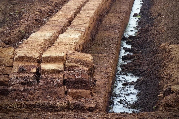 Управление ФСБ пресекло незаконную добычу торфа в Сергиево-Посадском районе
