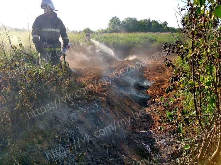 Пожар на торфянике потушен