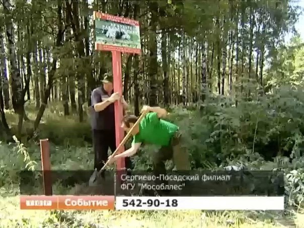 Два кубометра мусора собрали лесничие на территории, которую уже чистили месяц назад
