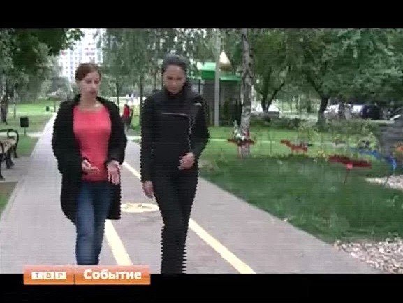 Премия за социальную значимость. Заканчивается прием заявок на конкурс "Наше Подмосковье”