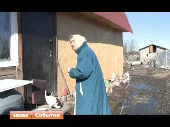 Помогают всем миром