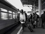 Новые выставки в Сергиевом Посаде