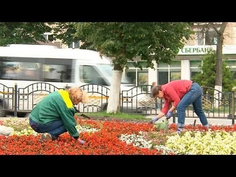 В центре города
