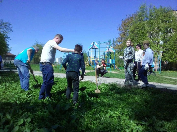 На Клементьевской высаживают новые деревья
