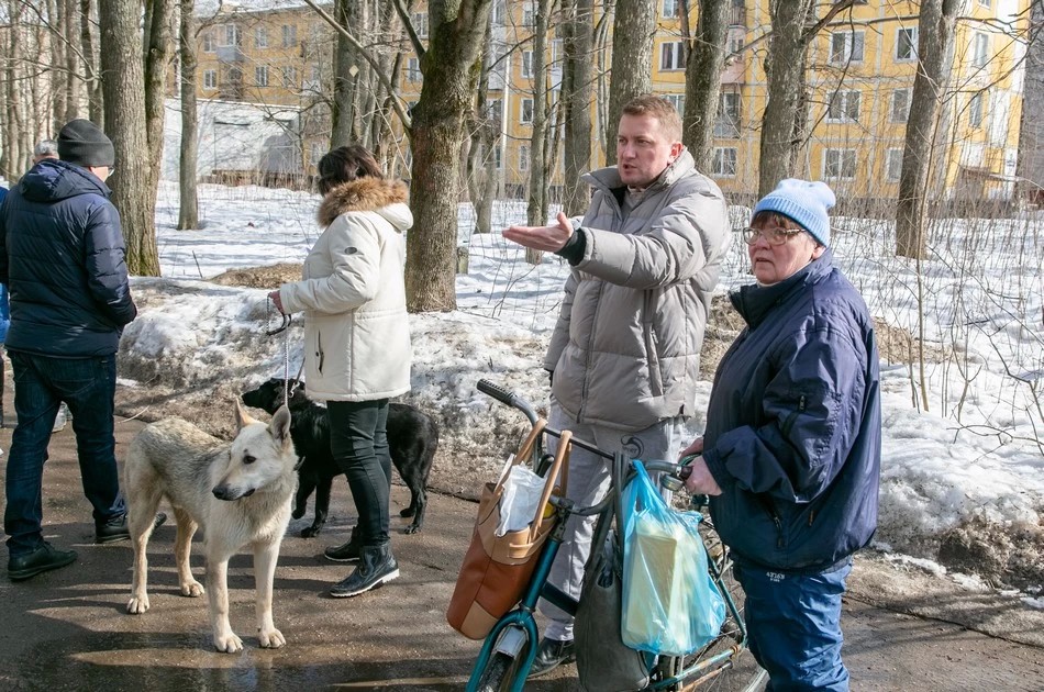 Поймать и стерилизовать