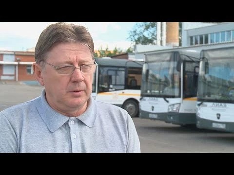 Дорога из леса