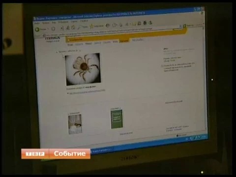 Весенний урожай клещей приносят на себе любители отдыха на природе