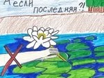 А если кувшинка последняя?