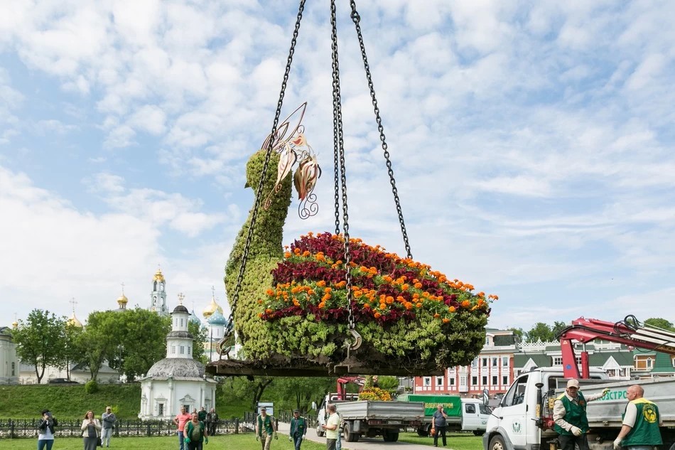 На смену лебедям прилетели жар-птицы