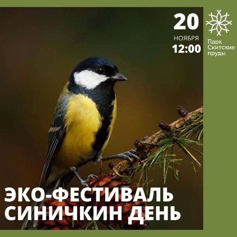 Эко-фест «Синичкин день» пройдёт 20 ноября в парке «Скитские пруды»