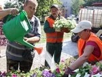 В Сергиевом Посаде пройдёт конкурс цветников