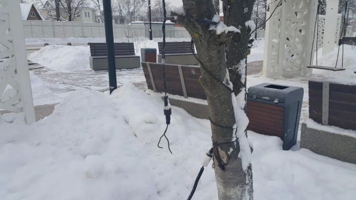 Вчера повесили, сегодня украли. На ул. Сергиевской с деревьев сняли новогодние украшения