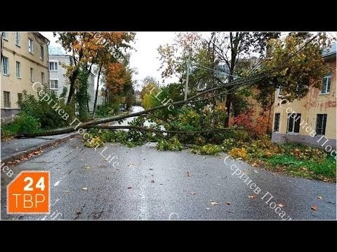 Упавшее дерево убрали за 20 минут