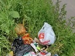 Закону есть дело до каждой скамейки