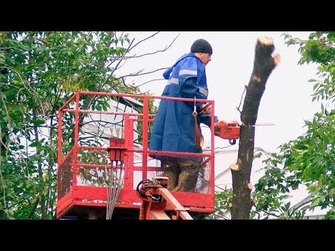 Приезжайте, забирайте и грейтесь
