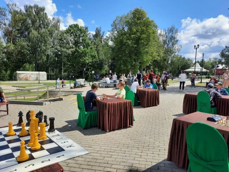 Единороссы Сергиева Посада провели шахматный турнир