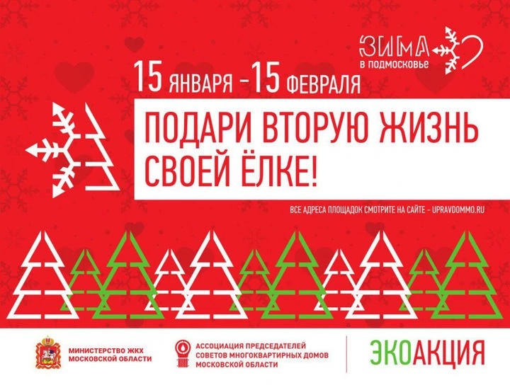 Жители Подмосковья вновь смогут подарить своей ёлке вторую жизнь в начале 2020 года